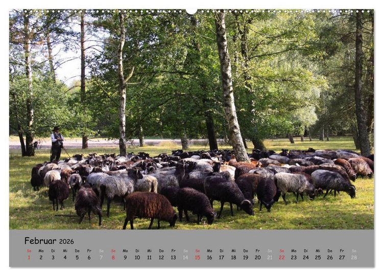 Produktbild: L&uuml;neburger Heide - sch&ouml;n zu jeder Jahreszeit (hochwertiger Premium Wandkalender 2026 DIN A2 quer), Kunstdruck in Hochglanz