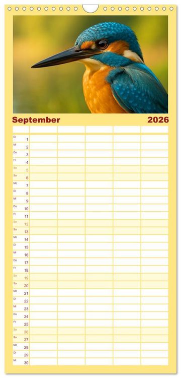 Produktbild: Familienplaner 2026 - Eisvogeltr&auml;ume am Wasser mit 5 Spalten (Wandkalender, 21 x 45 cm) CALVENDO