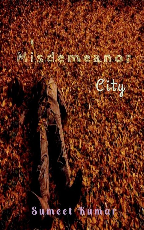 Produktbild: Misdemeanor City