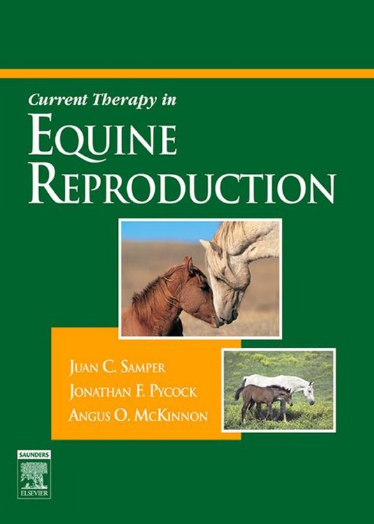 Produktbild: Current Therapy in Equine Reproduction