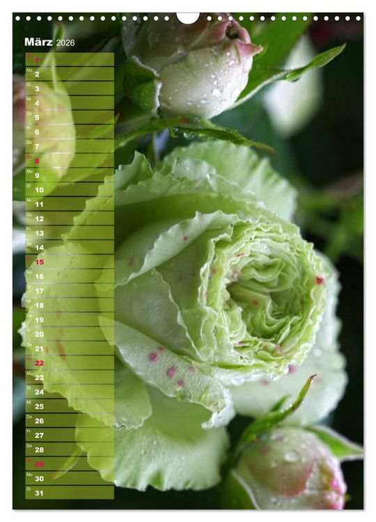 Produktbild: Rosen f&uuml;r DICH / Geburtstagskalender (Wandkalender 2026 DIN A3 hoch), CALVENDO Monatskalender