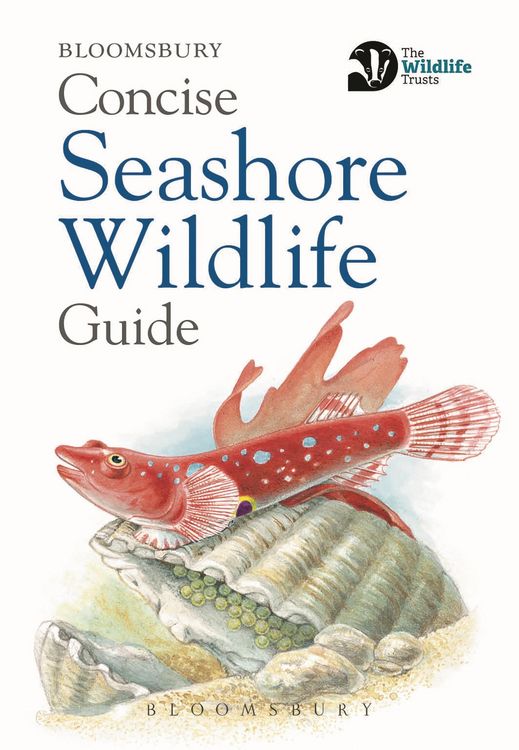 Produktbild: Concise Seashore Wildlife Guide