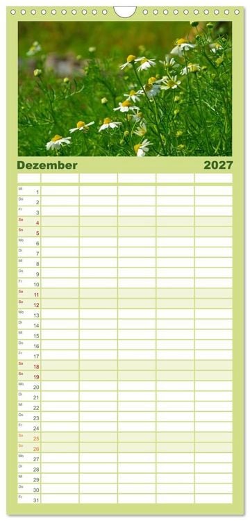Produktbild: Familienplaner 2027 - Arzneipflanzen mit 5 Spalten (Wandkalender, 21 x 45 cm) CALVENDO