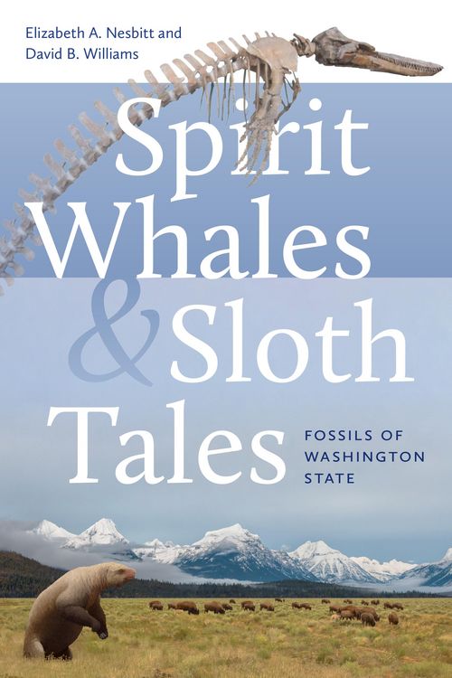 Produktbild: Spirit Whales and Sloth Tales