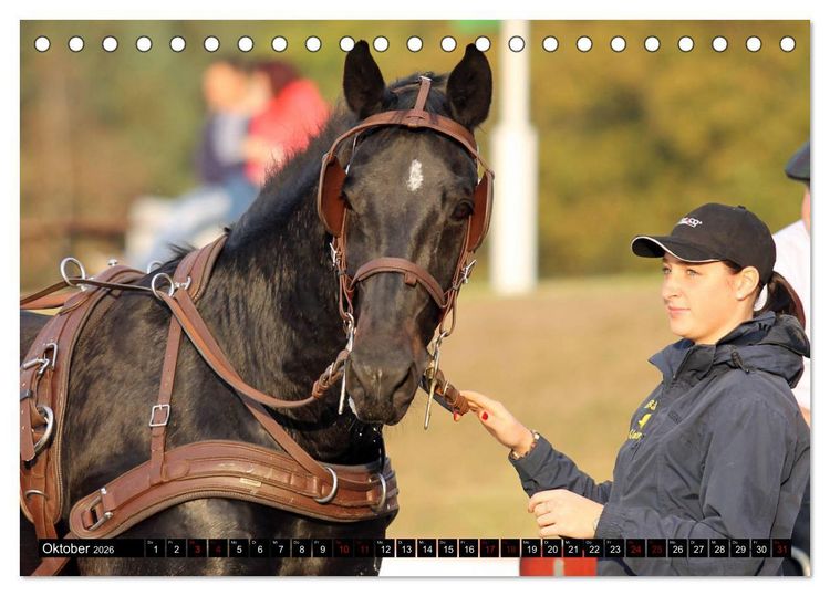 Produktbild: Schwere Warmbl&uuml;ter 2026 (Tischkalender 2026 DIN A5 quer), CALVENDO Monatskalender
