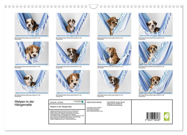 Produktbild: Welpen in der H&auml;ngematte (Wandkalender 2026 DIN A3 quer), CALVENDO Monatskalender