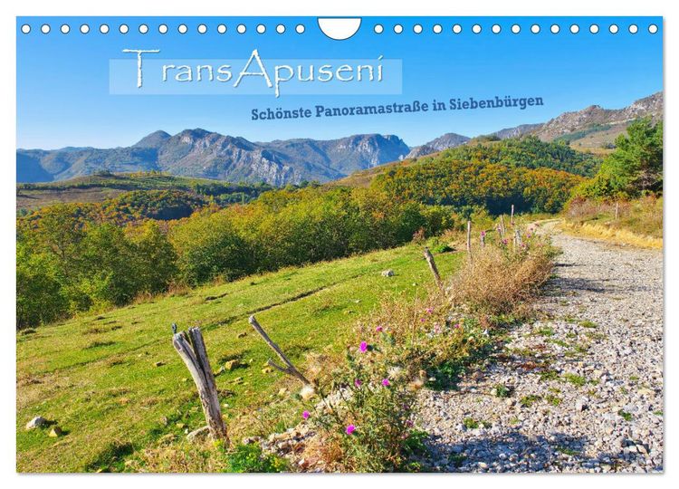 Produktbild: TransApuseni - Sch&ouml;nste Panoramastra&szlig;e in Siebenb&uuml;rgen (Wandkalender 2026 DIN A4 quer), CALVENDO Monatskalender