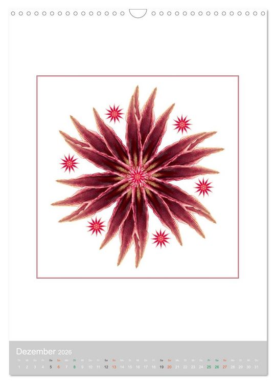 Produktbild: Pflanzen - Mandalas aus Bl&uuml;ten und Bl&auml;ttern (Wandkalender 2026 DIN A3 hoch), CALVENDO Monatskalender