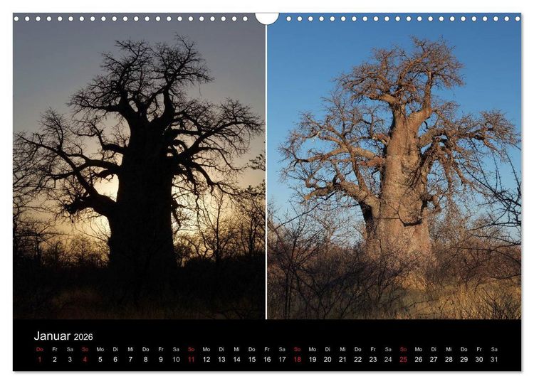 Produktbild: Naturerlebnis Botswana (Wandkalender 2026 DIN A3 quer), CALVENDO Monatskalender