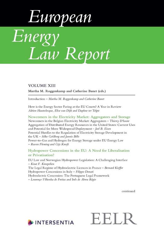 Produktbild: European Energy Law Report XIII