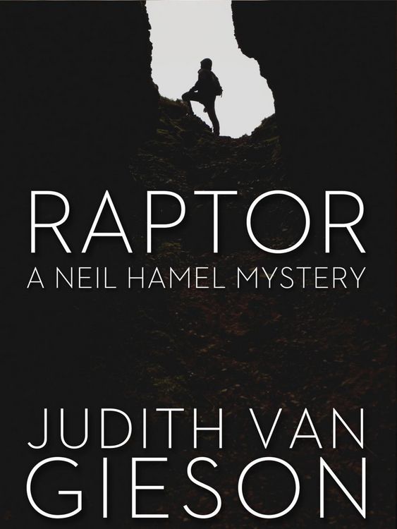 Produktbild: Raptor