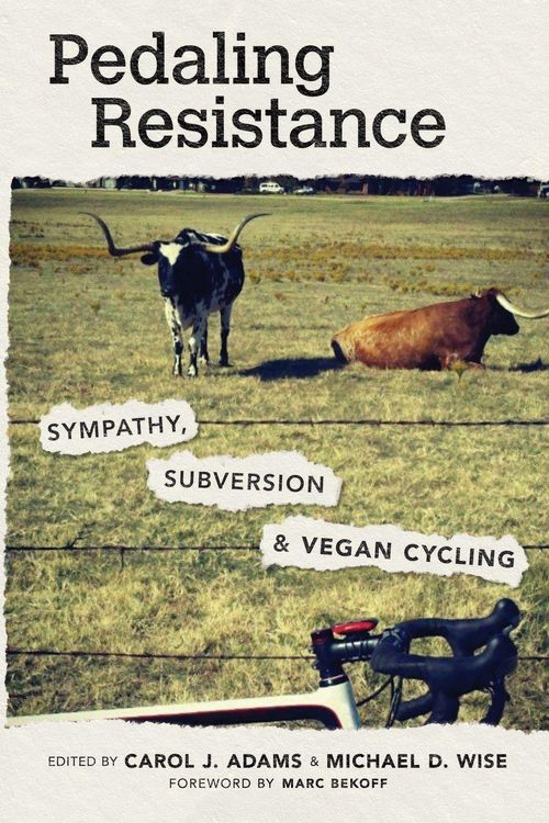 Produktbild: Pedaling Resistance
