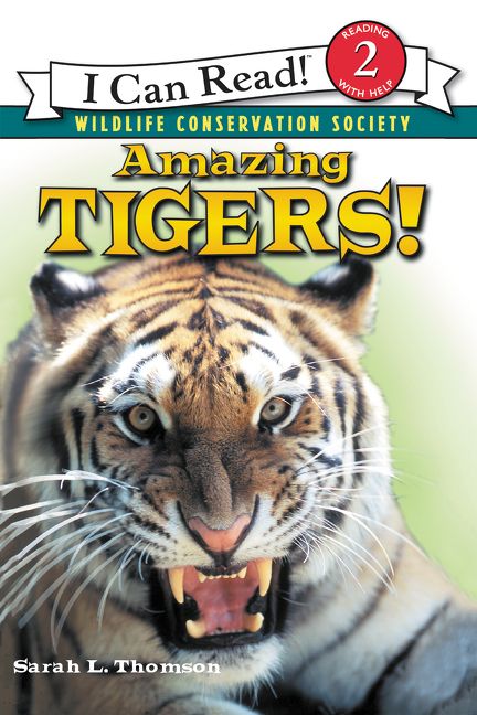 Produktbild: Amazing Tigers!