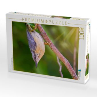 Produktbild: CALVENDO Puzzle Kleiber kopf&uuml;ber | 1000 Teile Lege-Gr&ouml;&szlig;e 64x48cm Foto-Puzzle f&uuml;r gl&uuml;ckliche Stunden