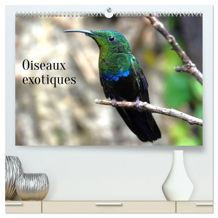 Produktbild: Oiseaux exotiques (Calendrier mural 2026 DIN A2 vertical) calendrier de bureau