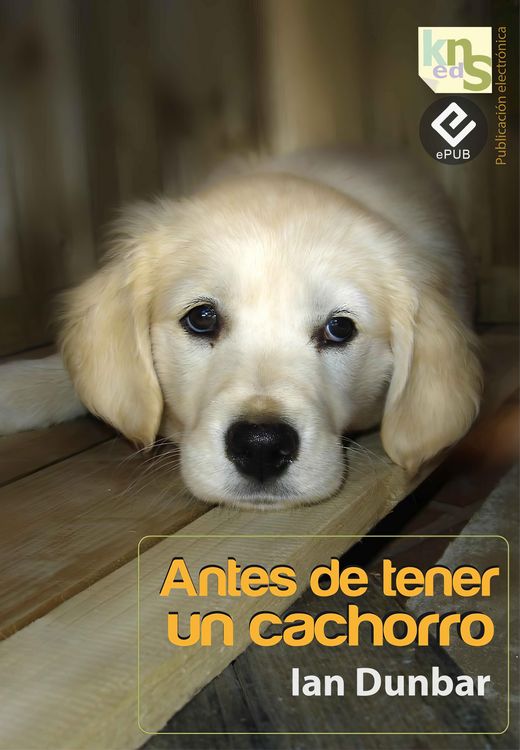Produktbild: Antes de tener un cachorro
