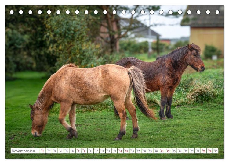 Produktbild: Naturerlebnis R&oslash;m&oslash; (Tischkalender 2026 DIN A5 quer), CALVENDO Monatskalender