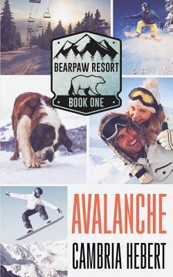 Produktbild: Avalanche