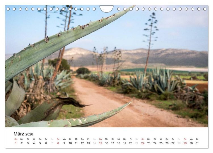 Produktbild: Fotoimpressionen aus Andalusien (Wandkalender 2026 DIN A4 quer), CALVENDO Monatskalender