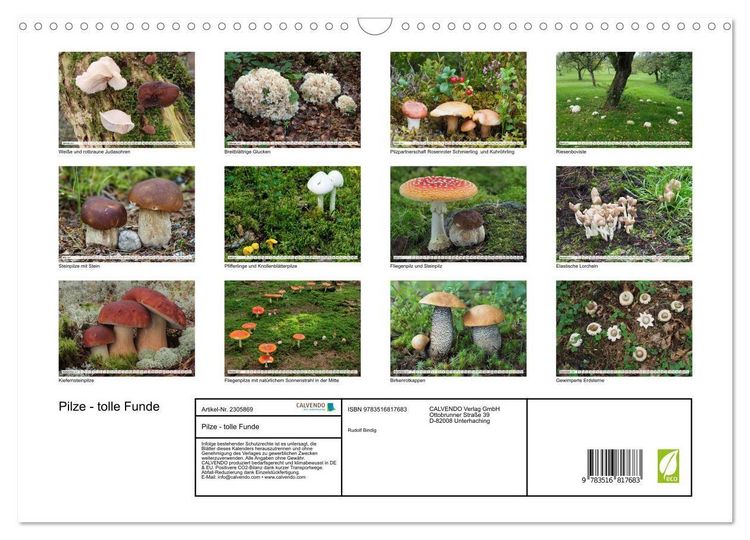 Produktbild: Pilze - tolle Funde (Wandkalender 2027 DIN A3 quer), CALVENDO Monatskalender