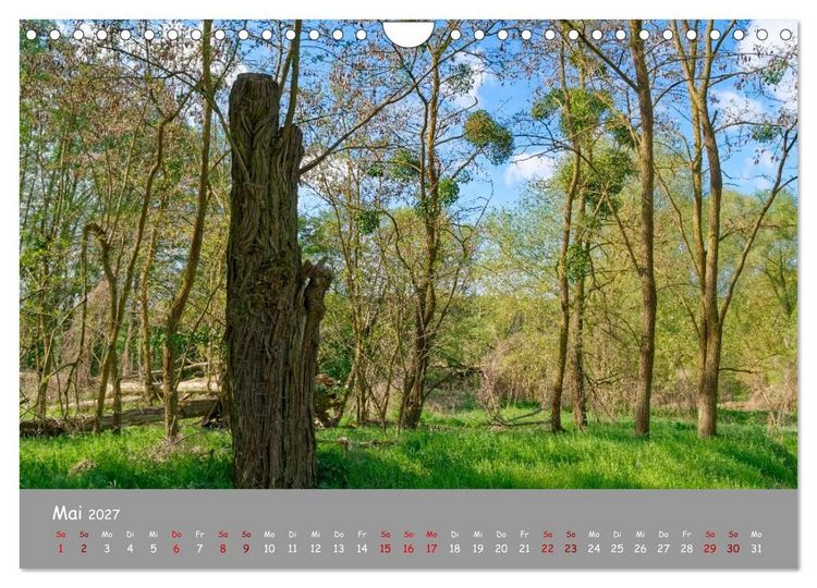 Produktbild: Biosph&auml;renreservat Schorfhede-Chorin (Wandkalender 2027 DIN A4 quer), CALVENDO Monatskalender