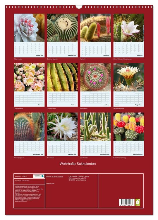 Produktbild: Wehrhafte Sukkulenten (Wandkalender 2026 DIN A2 hoch), CALVENDO Monatskalender