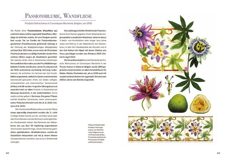Produktbild: Das Herbarium floraler Dekore