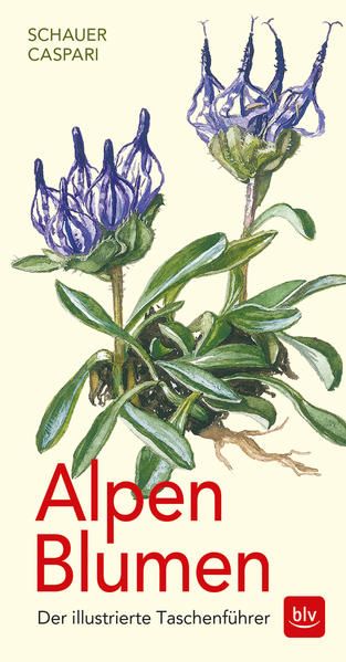 Produktbild: Alpen-Blumen