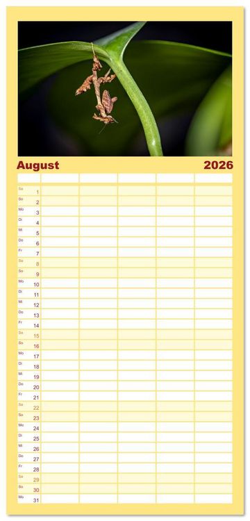 Produktbild: Familienplaner 2026 - Im Bann der Mantis mit 5 Spalten (Wandkalender, 21 x 45 cm) CALVENDO