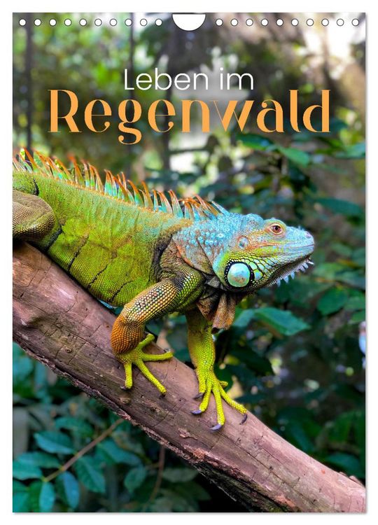 Produktbild: Leben im Regenwald (Wandkalender 2026 DIN A4 hoch), CALVENDO Monatskalender