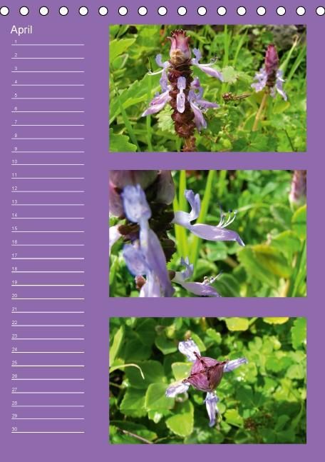 Produktbild: Zauberwelt der Blumen - Eiskristalle & Wasserperlen / Geburtstagskalender (Tischkalender immerw&auml;hrend DIN A5 hoch)