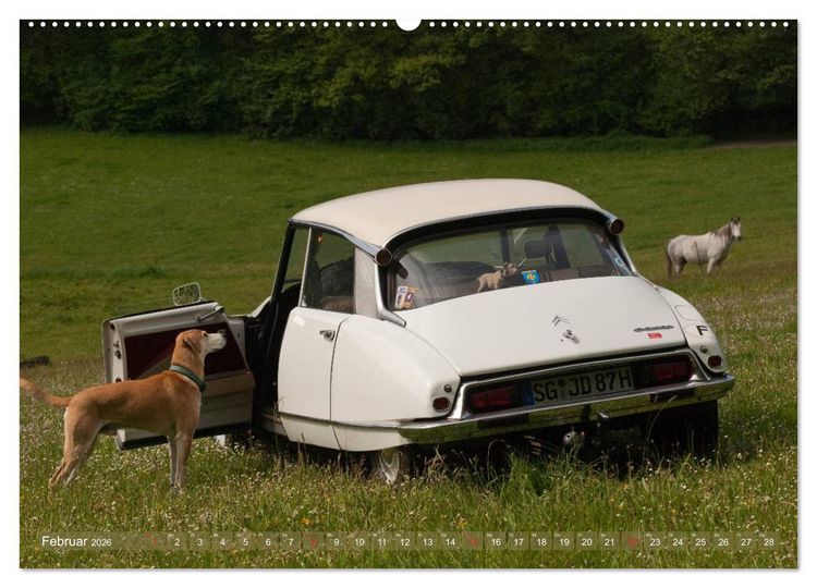 Produktbild: Citro&euml;n DS - G&ouml;ttin in wei&szlig; (Wandkalender 2026 DIN A2 quer), CALVENDO Monatskalender