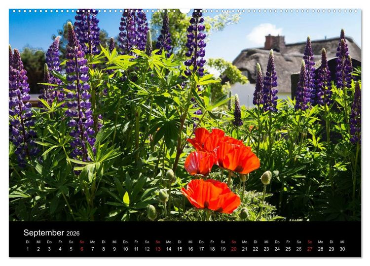 Produktbild: Amrumer Impressionen (Wandkalender 2026 DIN A2 quer), CALVENDO Monatskalender