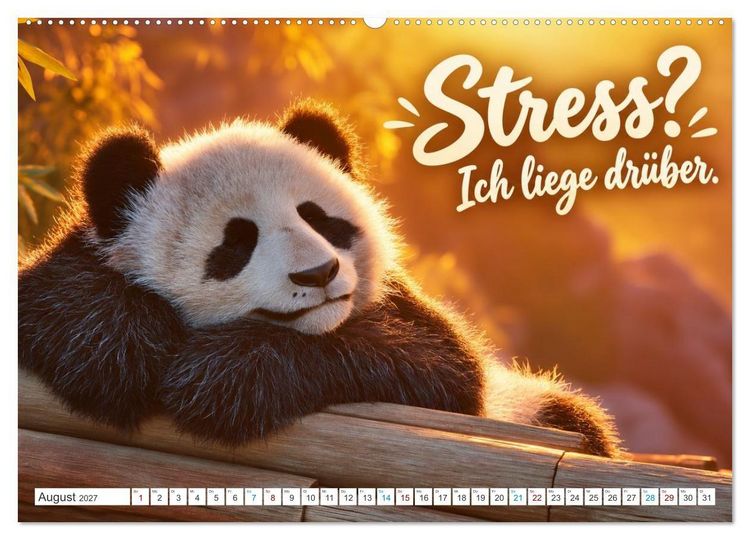 Produktbild: Pandas mit Flausen im Kopf (Wandkalender 2027 DIN A2 quer), CALVENDO Monatskalender