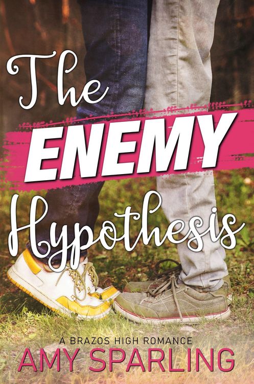 Produktbild: The Enemy Hypothesis (Brazos High, #2)