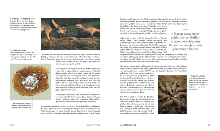 Produktbild: Unter Dinos - Geheimnisse der Urzeit