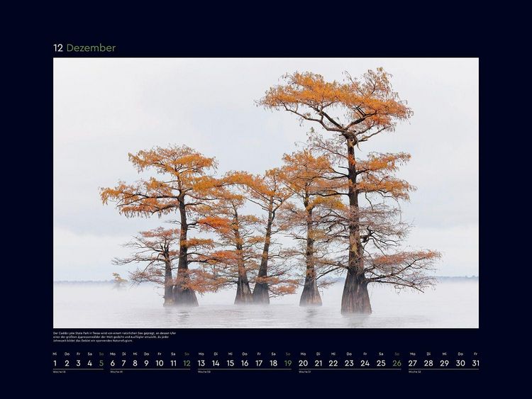 Produktbild: Alte B&auml;ume, Sinnbilder des Lebens - KUNTH Wandkalender 2027