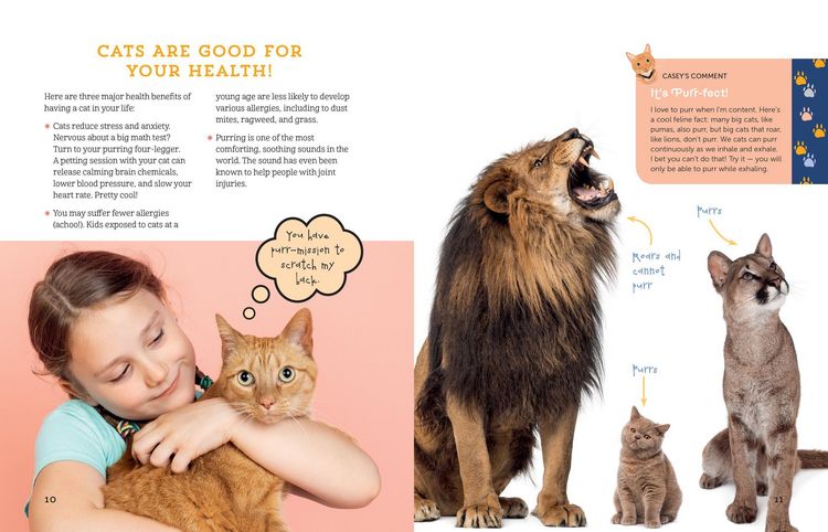 Produktbild: A Kid's Guide to Cats