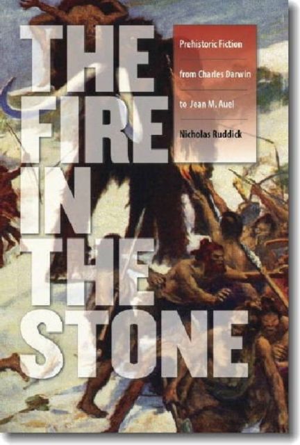 Produktbild: Fire in the Stone
