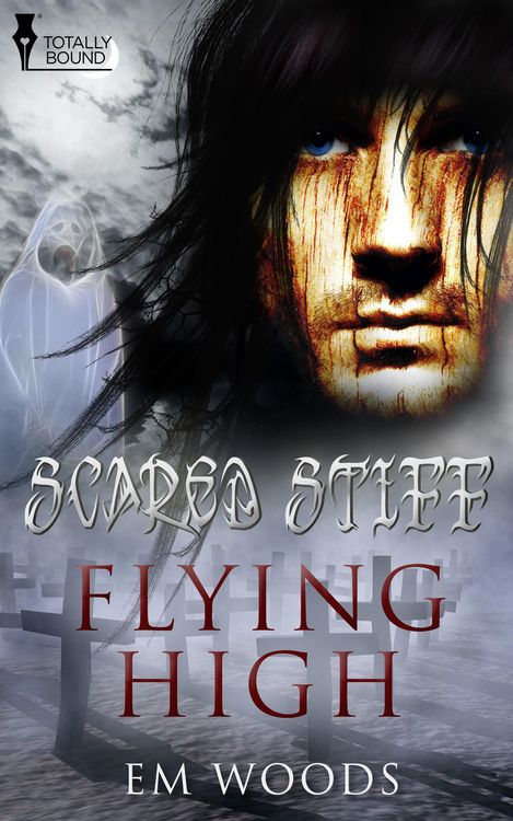 Produktbild: Flying High
