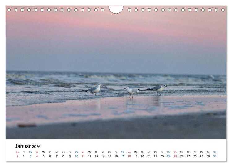 Produktbild: Lichtstimmungen in Sankt Peter-Ording (Wandkalender 2026 DIN A4 quer), CALVENDO Monatskalender