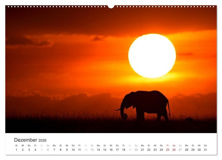 Produktbild: Elefanten - Sanfte Riesen in Afrika (hochwertiger Premium Wandkalender 2026 DIN A2 quer), Kunstdruck in Hochglanz