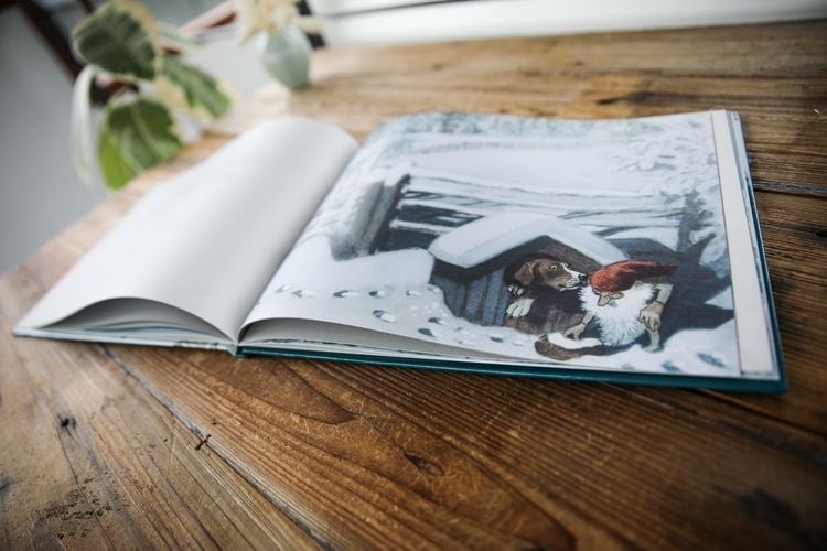 Produktbild: Tomte Tummetott