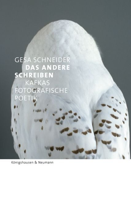Produktbild: Das Andere schreiben &ndash; Kafkas fotografische Poetik