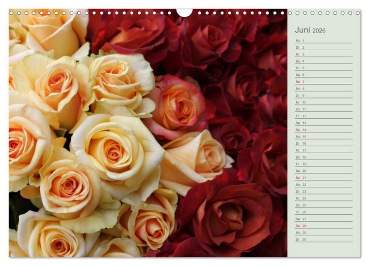 Produktbild: Rosen, Rosen ... arrangiert und am Strauch (Wandkalender 2026 DIN A3 quer), CALVENDO Monatskalender