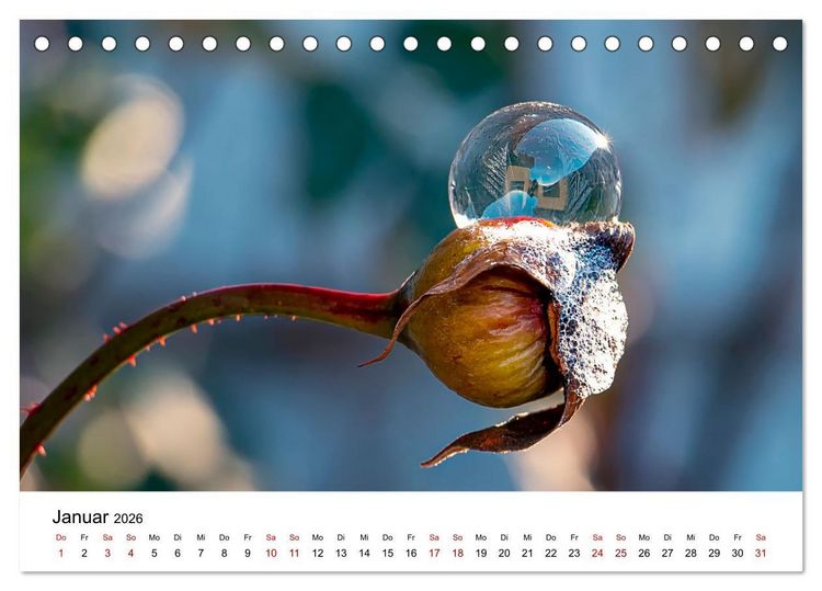 Produktbild: Bergell - Bregaglia Impressionen (Tischkalender 2026 DIN A5 quer), CALVENDO Monatskalender