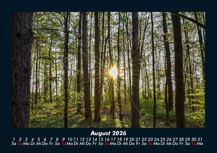 Produktbild: Natur 2026 Fotokalender DIN A5