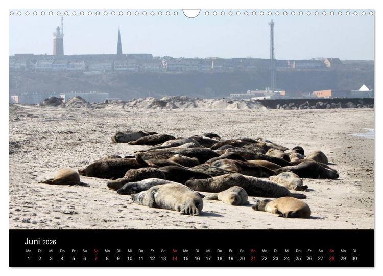 Produktbild: Helgoland (Wandkalender 2026 DIN A3 quer), CALVENDO Monatskalender
