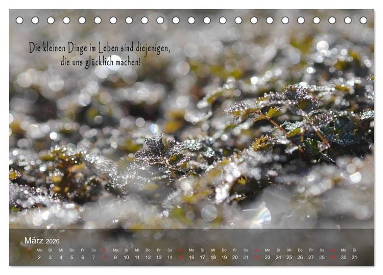 Produktbild: wundersch&ouml;ne Lichtmomente (Tischkalender 2026 DIN A5 quer), CALVENDO Monatskalender