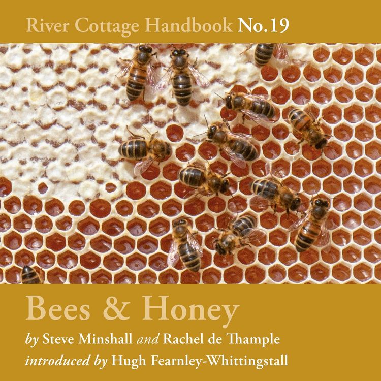 Produktbild: Bees & Honey